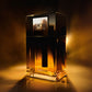 Dior Homme Intense